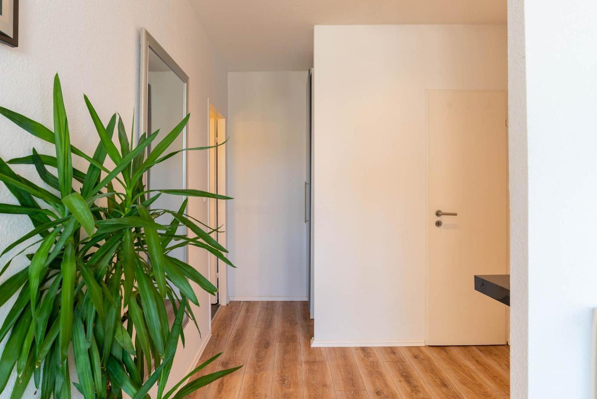 Ferienwohnung Laser II 施尔克湖 外观 照片